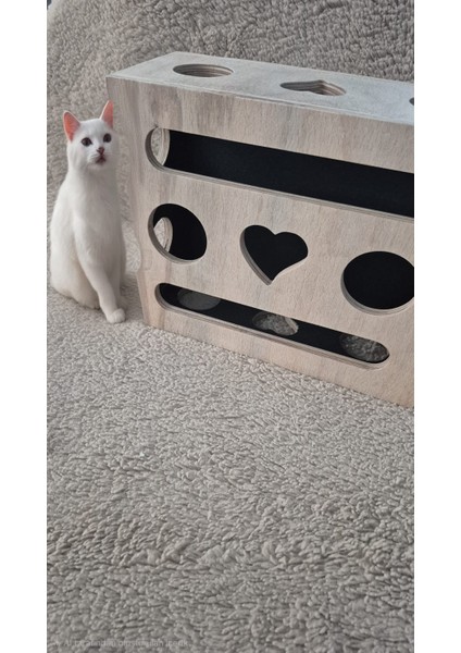 (Mistikhane) - Kedi Tırnak Törpüsü ve Oyun Kutusu ( O Model ) modelleri