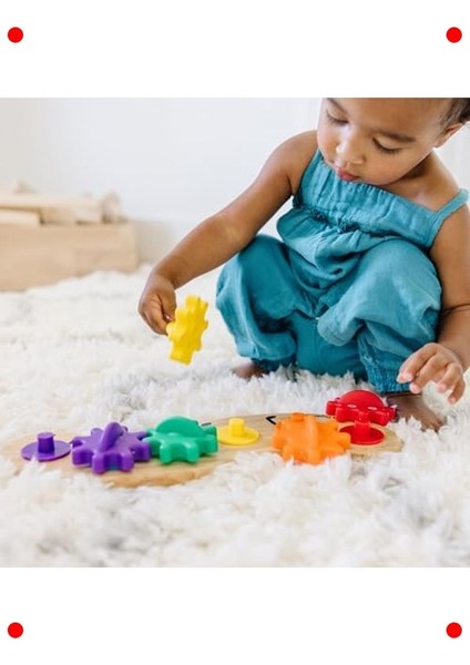 Ahşap Tırtıl Dişli Çevirme Oyuncak fiyatları