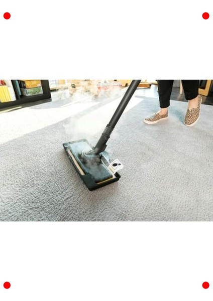 Güçlü Buharlı Temizlik Makinesi 2000 W modelleri
