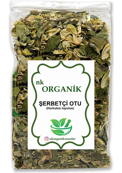 Şerbetçi Otu (Humulus Lupulus) 250GR