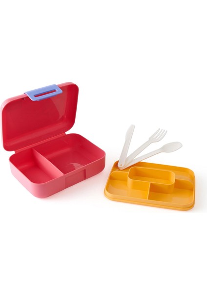 Tasty Beslenme Kabı - Asorti - 19X14,5X17 cm modelleri