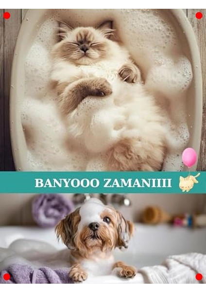 Şampuan Hazneli Evcil Hayvan Banyo Fırçası indirimleri