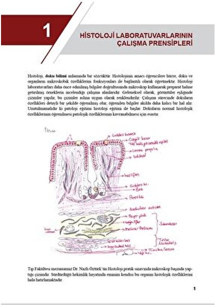 Histoloji Atlası Genişletilmiş 2.Baskı - Mukaddes Eşrefoğlu 452 Sayfa Türkçe fırsatları