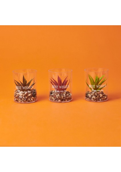 Dekor Bardak Sukulent - Asorti - 8X10 cm modelleri