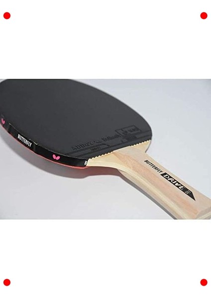 Başlangıç Seviyesi Masa Tenisi Seti modelleri