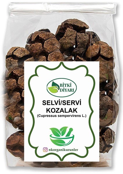 Servi Kozalağı (Cupressus Sp) 1kg
