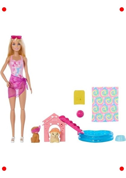 Havuz Partisi Oyun Seti: Köpekçik ve Renk Değişimi fiyatları