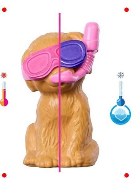 Havuz Partisi Oyun Seti: Köpekçik ve Renk Değişimi modelleri