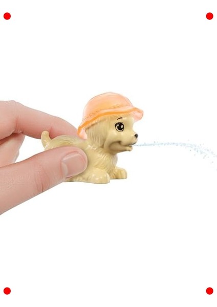 Havuz Partisi Oyun Seti: Köpekçik ve Renk Değişimi fırsatları