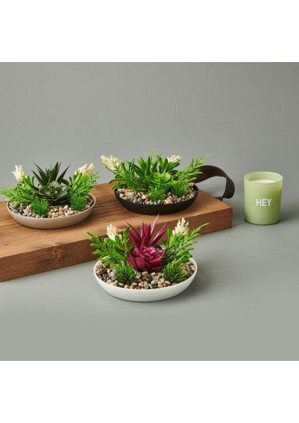 Dekor Aranjman Sukulent - Asorti - 15X10 cm fiyatları