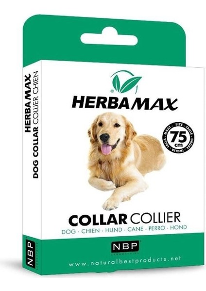 Pire Dış Parazit Kene Tasması - 75 cm