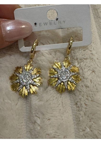 Çelik Silver Detaylı Güneş Tasarım Küpe