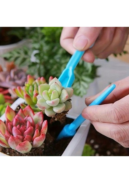 4 Parça Kaktüs Dikim Seti - Yeşil fiyatları