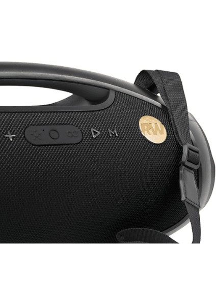 Iconic Vibe 2 - Ppa 600-RW Robbie Williams Edition 120W Bluetooth Hoparlör modelleri