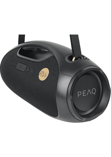 Iconic Vibe 2 - Ppa 600-RW Robbie Williams Edition 120W Bluetooth Hoparlör