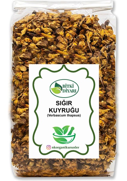 Sığır Kuyruğu (Verbascum Thapsus) 500GR