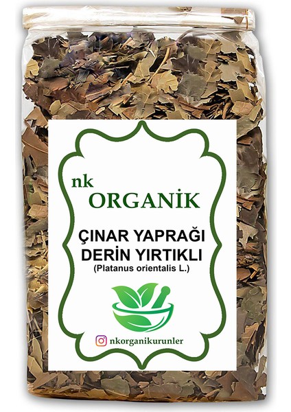 Derin Yırtıklı Çınar Yaprağı (Platanus Orientalis L.) 50GR