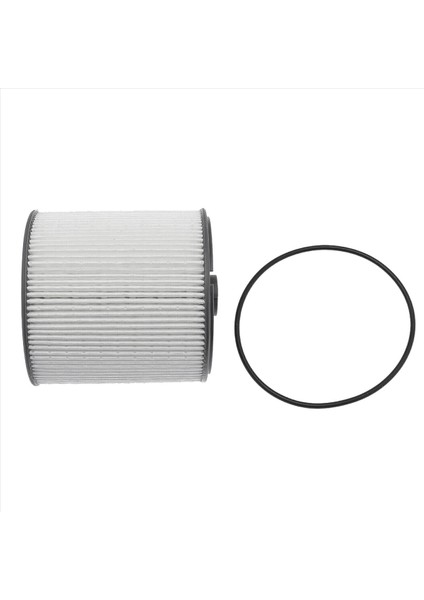 2x 68436631AA Dodge Için Yakıt/su Seperator Filtresi 2019-2021 Ram 2500 3500 4500 6 7l Cummins Turbo Dizel (Yurt Dışından) fiyatları