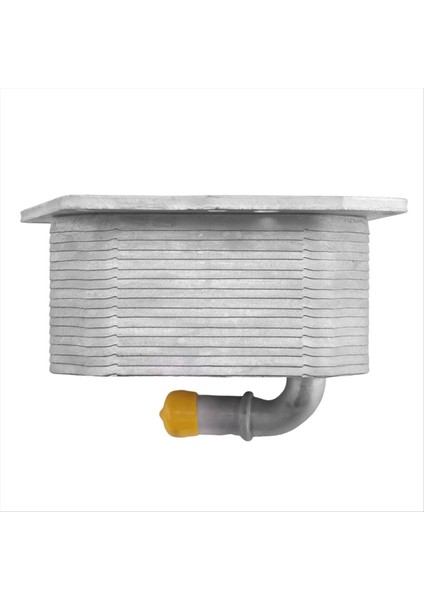 Motor Yağı Soğutucu Otomobil Alüminyum Radyatör 1746665 Ford Ranger T6 2 2l 3 2l Tdcı 2012-2021 (Yurt Dışından) fırsatları