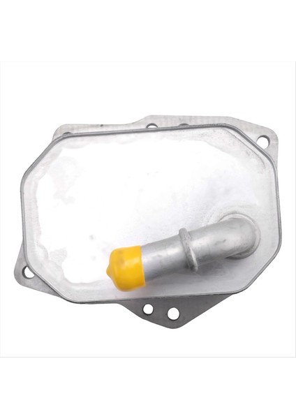 Motor Yağı Soğutucu Otomobil Alüminyum Radyatör 1746665 Ford Ranger T6 2 2l 3 2l Tdcı 2012-2021 (Yurt Dışından) indirimleri