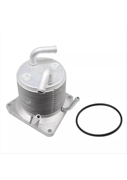 Motor Yağı Soğutucu Cvt Şanzıman Radyatörü 21606-1XF00 21606-3TX0A Nissan Rogue 11-14 Juke 07-12 216061XF0A (Yurt Dışından)
