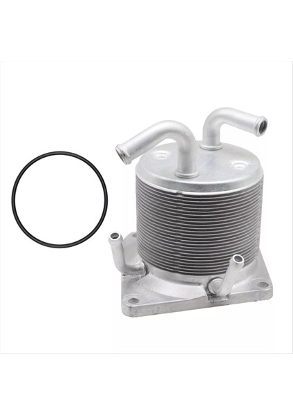 Motor Yağı Soğutucu Cvt Şanzıman Radyatörü 21606-1XF00 21606-3TX0A Nissan Rogue 11-14 Juke 07-12 216061XF0A (Yurt Dışından) fiyatları