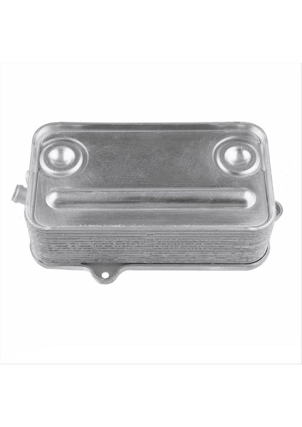 Şanzıman Yağı Radyatör Soğutucu 09E409061 09E409061A Audi A6 Quattro 2005-2011 A8 Quattro 2003-2010 S8 S8 2007-2010 (Yurt Dışından) indirimleri