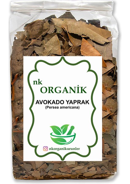 Avokado Yaprak Kuru Doğal (Persea Americana) 50GR