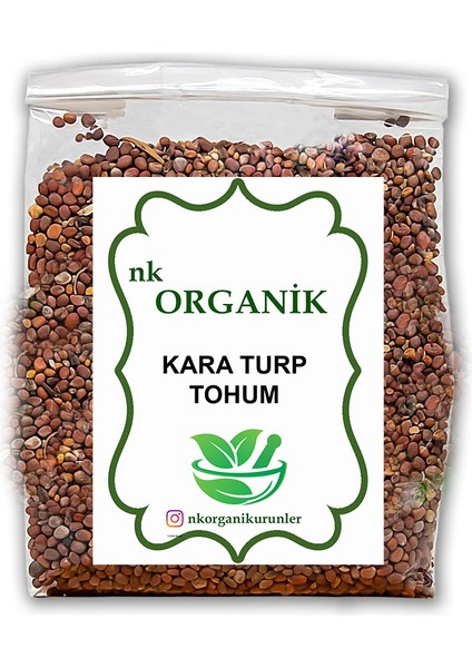 Kara Turp Tohumu (Raphanus Sativus L. Niger) Yeni Hasat 500GR
