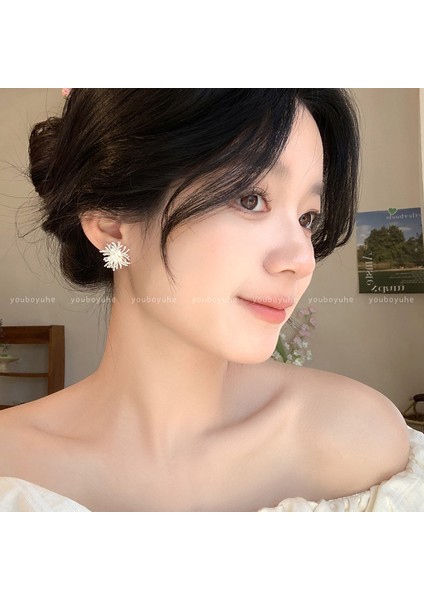 Kadınlar Için Yeni Metalik Cilalı Küpeler, Zarif ve Sofistike Halka Küpeler (Yurt Dışından)