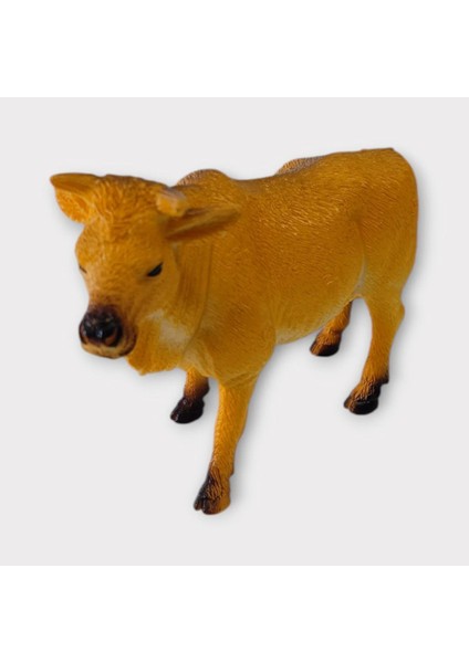 Çiftlik Hayvanları - Turuncu Boğa (Lisinya)