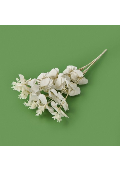 Exclusive Okaliptüs - Beyaz - 47 cm fiyatları