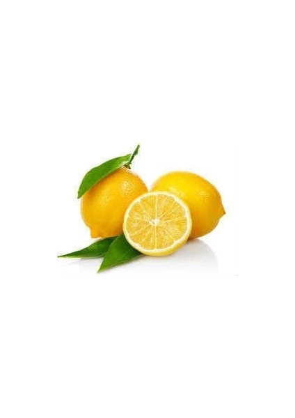Limon Bonesi / 10 Adet / Bitki Çayı Bonesi fiyatları