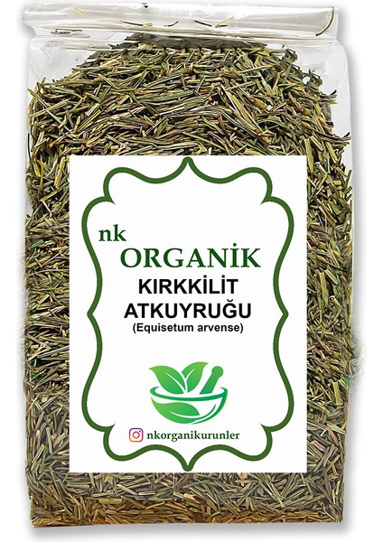 At Kuyruğu (Equisetum Arvense) Kırkkilit Otu 1kg