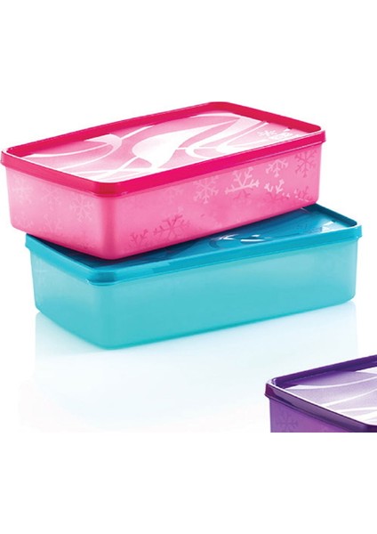 Alaska Dikdörtgen Derin Dondurucu Saklama Kabı - Asorti - 2,1 Lt fiyatları