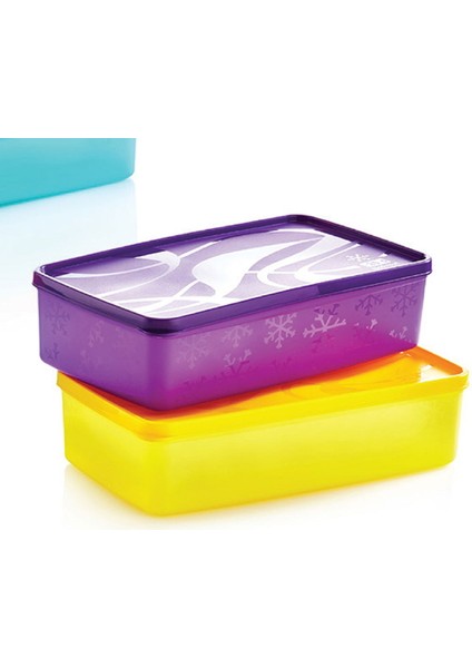 Alaska Dikdörtgen Derin Dondurucu Saklama Kabı - Asorti - 2,1 Lt modelleri