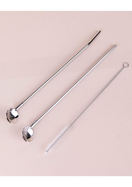 Paslanmaz Metal 2 Li Kaşıklı Pipet Fırça Seti fırsatları