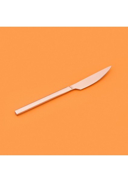 6'lı Yemek Bıçağı - Gri fiyatları