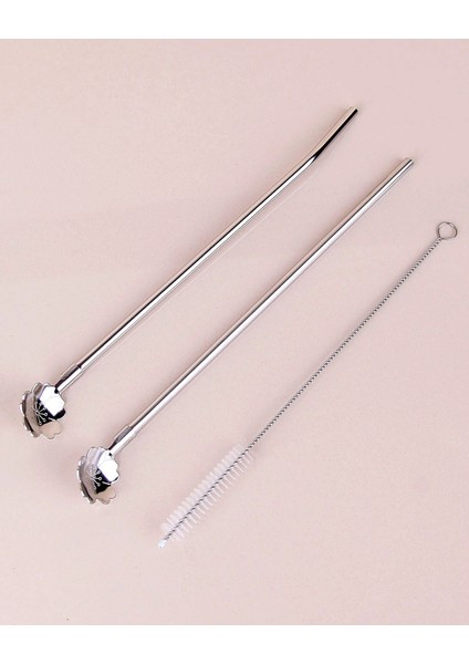 Paslanmaz Metal 2 Li Kaşıklı Pipet Fırça Seti fırsatları