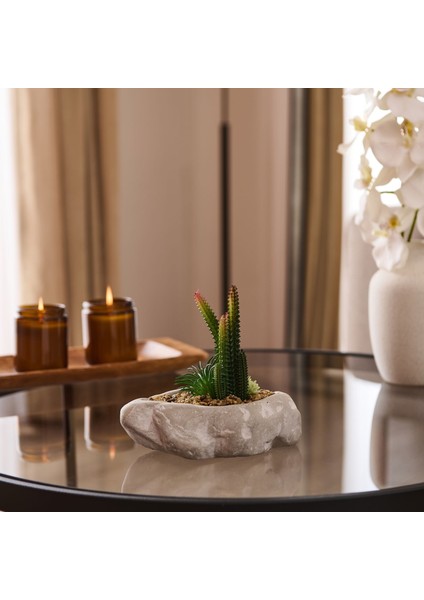 Beton Asimetrik Saksılı Yapay Kaktüs - Gri - 16X6X19 cm