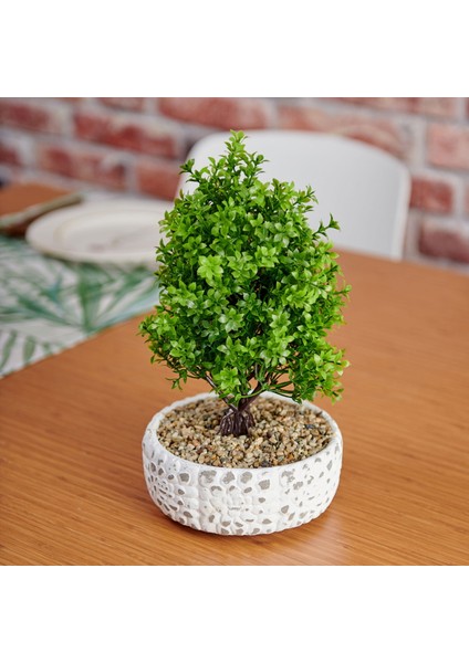 Dekoratif Çakıl Ağaç