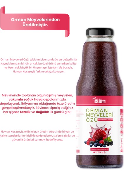 Orman Meyve Özü 1350 g fiyatları