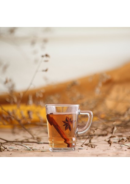 Elegan Cam Fincan 6 Kişilik 225 ml Kulplu (Kahve/Çay Bardağı)