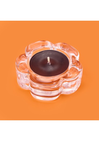 Deco Daisy Mumluk - Şeffaf - 6,2x2,1 cm fiyatları