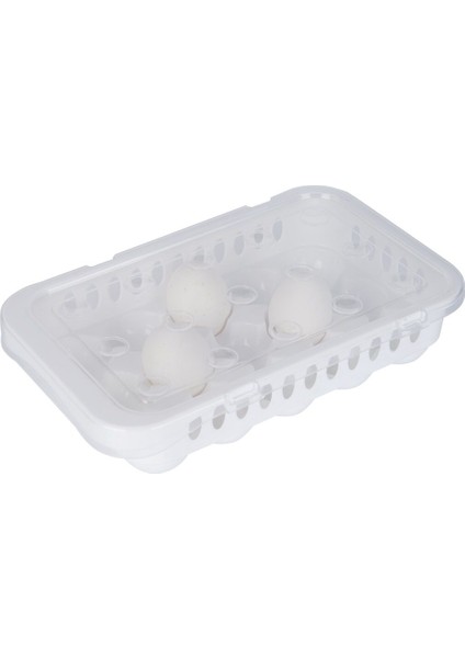 Hijyenik Yumurta Saklama Kabı 15 Bölmeli Kapaklı fiyatları