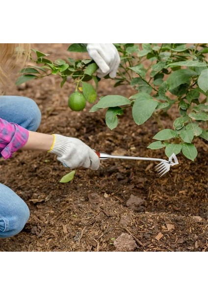 Manuel Ayıklayacaktır Aracı 5 Diş El Weeder Çektirme Sökme Weeder Aracı Ayıklaması Artefakt Ayıklayacaktır Çektirme Weeder Aracı (Yurt Dışından) fiyatları