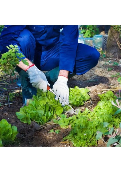 Manuel Ayıklayacaktır Aracı 5 Diş El Weeder Çektirme Sökme Weeder Aracı Ayıklaması Artefakt Ayıklayacaktır Çektirme Weeder Aracı (Yurt Dışından) indirimleri