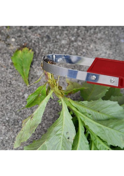 2 Adet Bahçe Bandit El Döngülü Ayıklama Aleti Çim Ekleri Bahçe Sebze Bahçesi Taşınabilir Temizlik Erişimi Için (Yurt Dışından) indirimleri