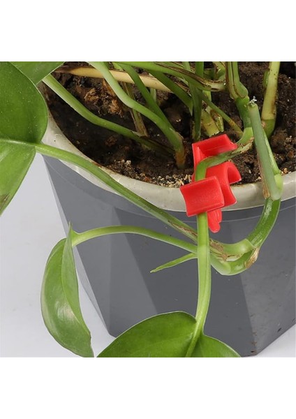 30'lu Paket Bitki Bükücü Açı Ayarlanabilir Bitki Eğitim Klipsleri Düşük Stres Eğitim Klipsleri 90 Derece Bitki Sapı (Yurt Dışından) fırsatları