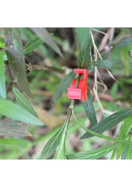 30'lu Paket Bitki Bükücü Açı Ayarlanabilir Bitki Eğitim Klipsleri Düşük Stres Eğitim Klipsleri 90 Derece Bitki Sapı (Yurt Dışından) indirimleri
